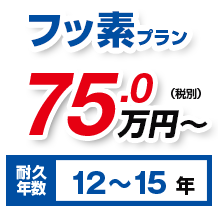 フッ素プラン75万円（税別）耐久年数10～12年